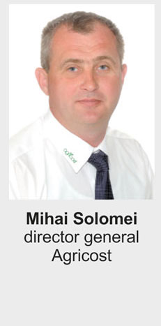 mihai solomei